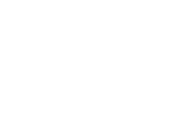 Emectric Batterien UG
