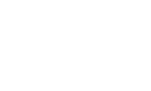 Preising GmbH & Co. KG